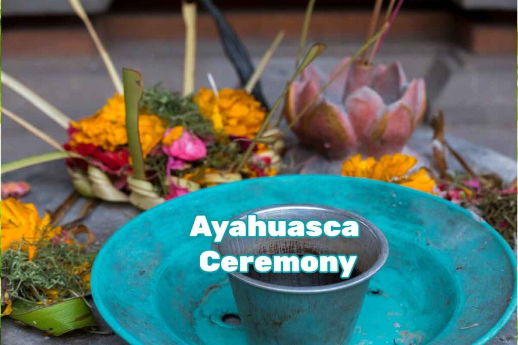 Ayahuasca ceremony