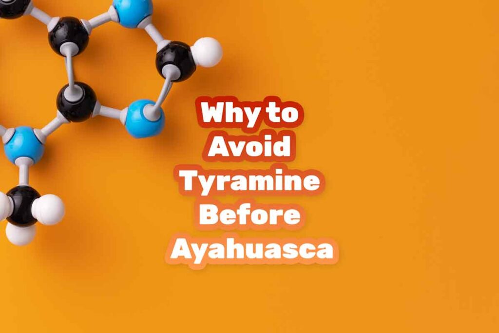 Why to Avoid Tyramine Before Ayahuasca